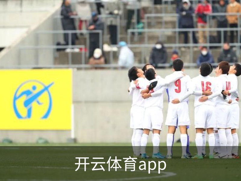 了解开云体育app